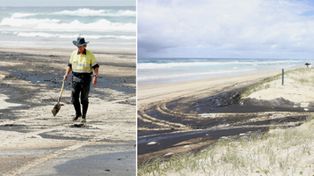 Brisbane: emergencia por contaminaci&oacute;n en la costa australiana tras derrame de combustible