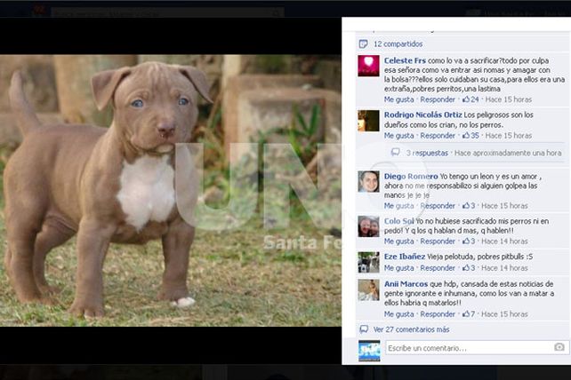 Crecen las repercusiones por el caso del ataque de los pitbull en Alto Verde