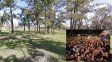 Se espera un masivo acampe de los seguidores de La Renga en el Parque del Sur.
