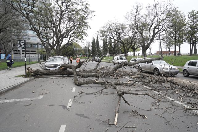 Lanzan un alerta meteorológica para Rosario y la región