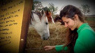 Los mensajes encontrados en el sur del país no fueron escritos por María Cash