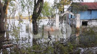 El río Paraná continúa en bajante