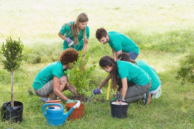 Como incentivo a la participación
