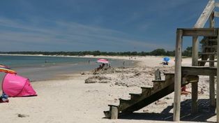 Un hombre falleció en Uruguay por una bacteria en el mar