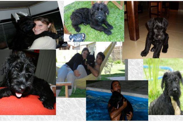 Los lectores de Diario UNO junto a sus mascotas