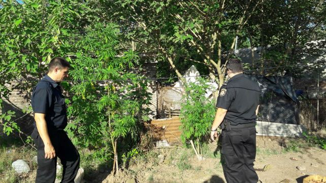 Los efectivos policiales