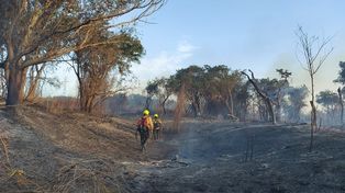 SNMF: el incendio en islas de Santa Fe está contenido
