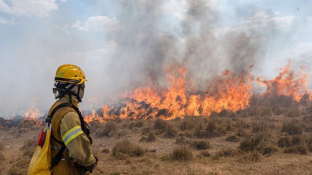 Así se ven los incendios en humedales de Entre Ríos y Corrientes