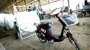 Comenzó la eliminación gradual de los vehículos de tracción a sangre