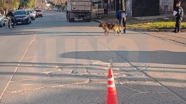 Le amputaron la pierna a la mujer arrollada por un camión