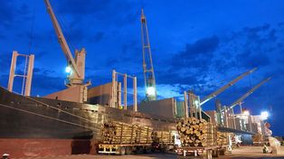 Nueva empresa operará desde los puertos entrerrianos y sumará embarques
