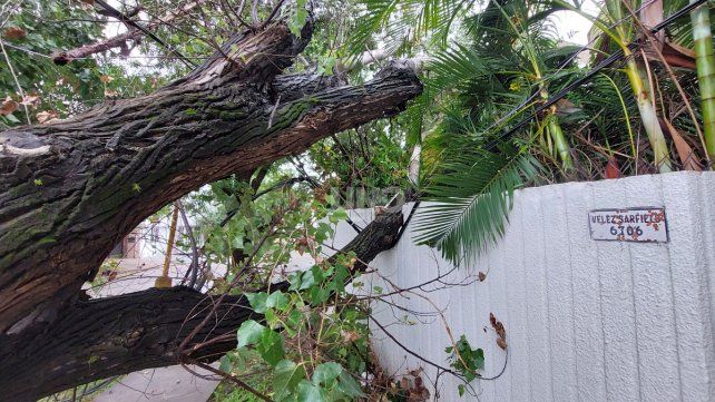 Cuáles son las zonas más afectadas por el temporal que azotó Santa Fe durante la madrugada
