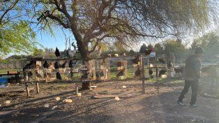 Rescataron decenas de gallos de riña y otras aves durante un operativo en Nuevo Alberdi