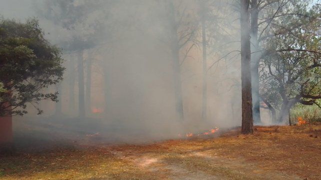 Este miércoles se vuelven a registrar incendios en el sur de Entre Ríos. En Médanos el fuego y el humo invaden las banquinas de la RN12