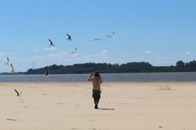 Solicitan colaboración para proteger a las aves. Foto: gentileza Banco de Bosques