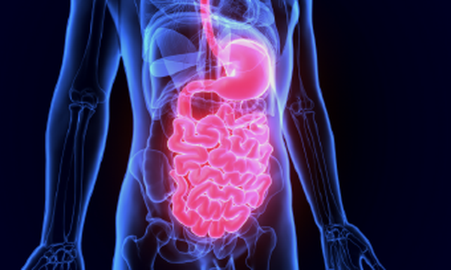Endoscopía digestiva: diagnóstico, tratamiento y prevención del cáncer colorrectal