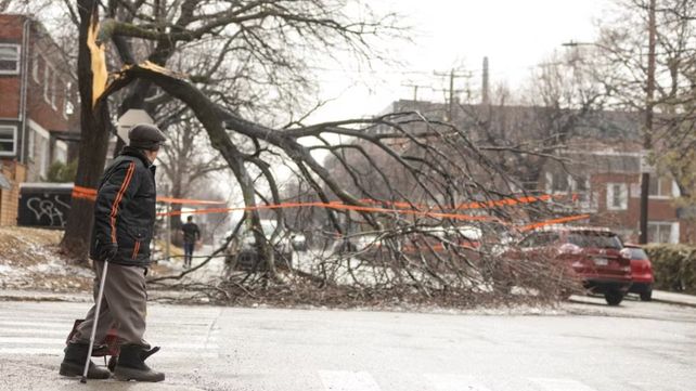 Canadá: una tormenta de hielo dejó dos muertos y un millón de personas sin luz