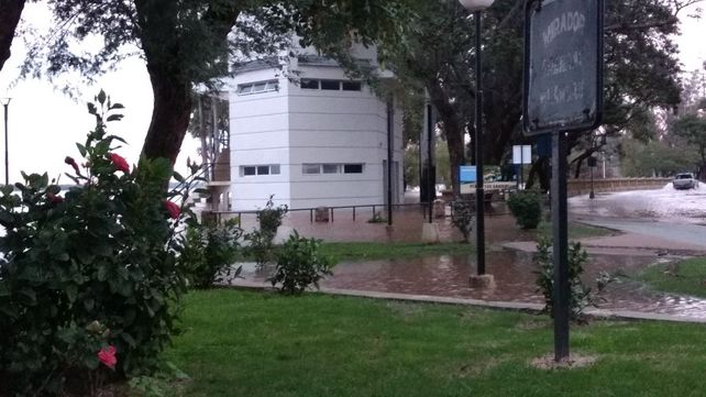 Foto gentileza Silvia Nalivaiko. 