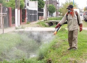 Cronograma de fumigaciones para esta semana en toda la ciudad de Santa Fe