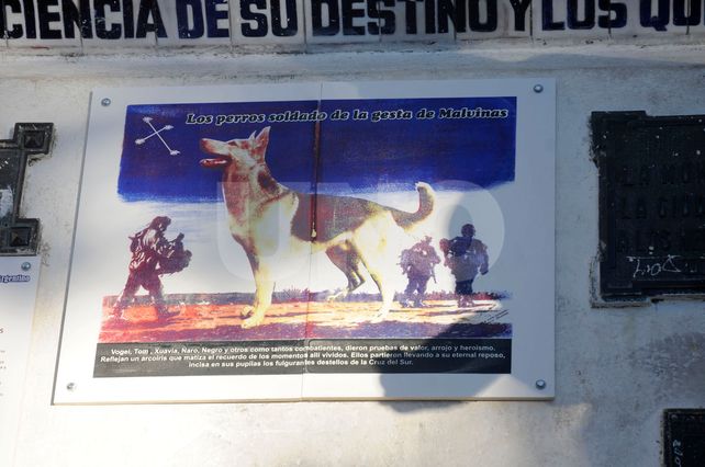 El cerámico que recuerda el paso de los 19 perros que estuvieron en el combate de Malvinas.