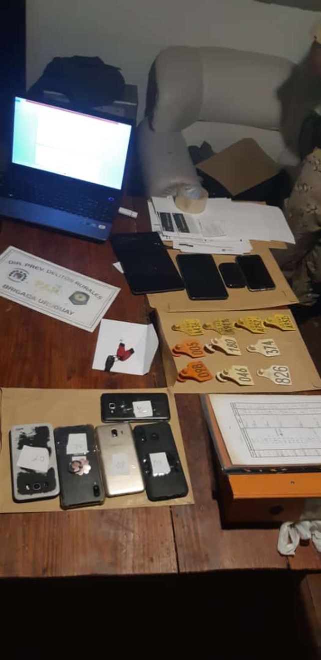 Capataz de estancia involucrado en el robo de 30 novillos