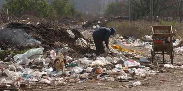 En Buenos Aires quieren reemplazar las bolsas de nylon por envoltorios biogradables