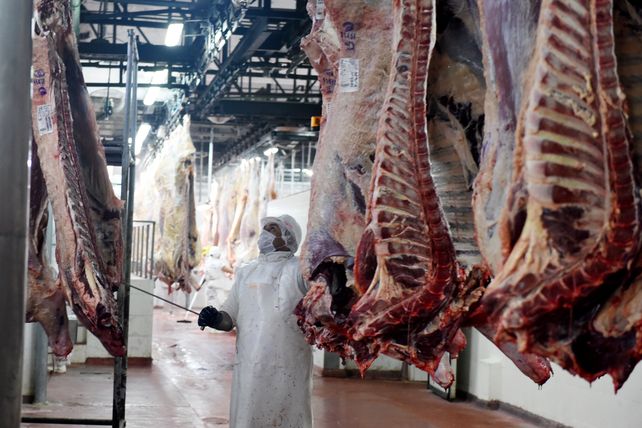 Las exportaciones de carne bovina argentina cayeron en volumen pero crecieron en valor. El peso de la política internacional.