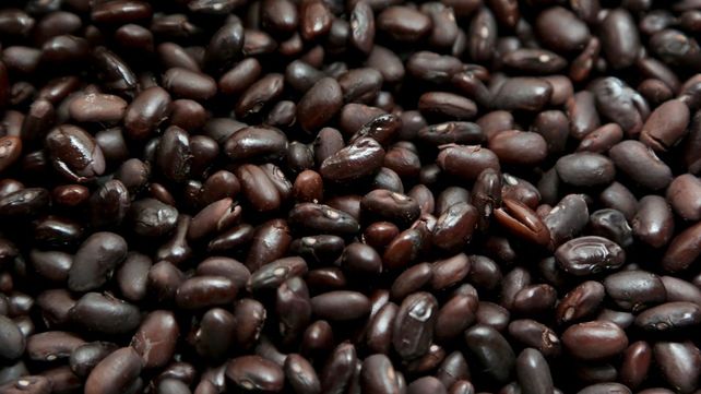 Porotos negros ingresa en la nueva normativa.