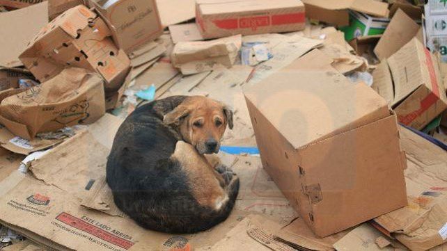 Barrio Antártida Argentina: Al borde de la barranca y cercados por la basura