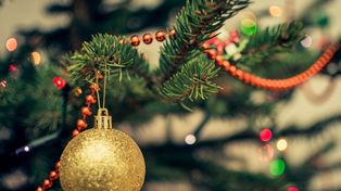 Proponen burbujas familiares para las fiestas de fin de año