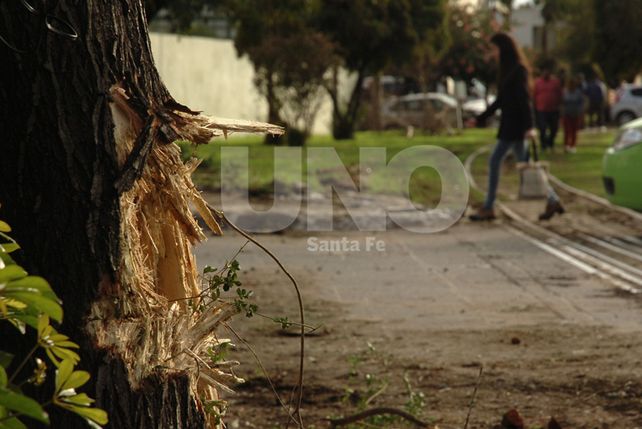Roturas. Desde el origen de su descarrilamiento en calle Las Heras