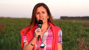 Retenciones. El artículo del Presupuesto 2023 preveía modificar el régimen y eso generó el rechazo del sector agropecuario.&nbsp;