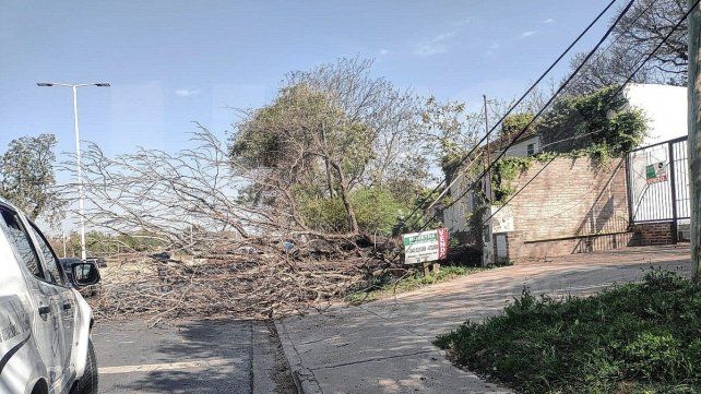 Video: Fuertes vientos, lluvias y granizo en ciudades entrerrianas