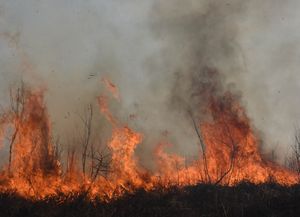 Según la Nación, las quemas en las islas están contenidas pero el daño es de magnitud