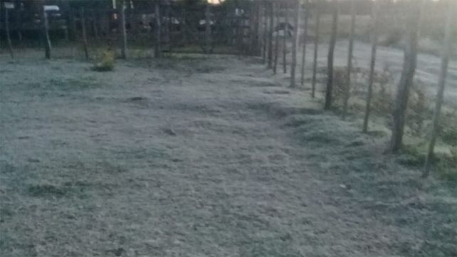 Fotos de los campos helados en la zona de La Balsa