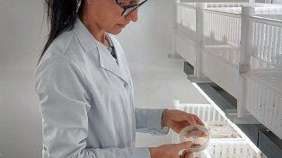 Empresa de la región es candidata al Premio Mundial a la Innovación de la ONU