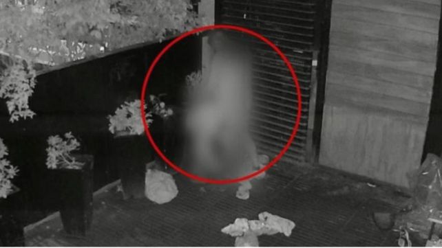 Fueron captados mientras tenían relaciones sexuales. (Foto: El Doce de Córdoba)