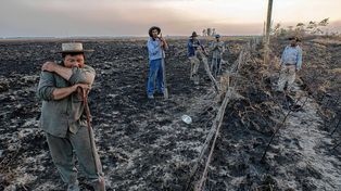 Incendios: estiman las pérdidas en más de $26.000 millones