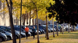 El tiempo en Rosario: domingo otoñal y con nuevas lluvias en el horizonte