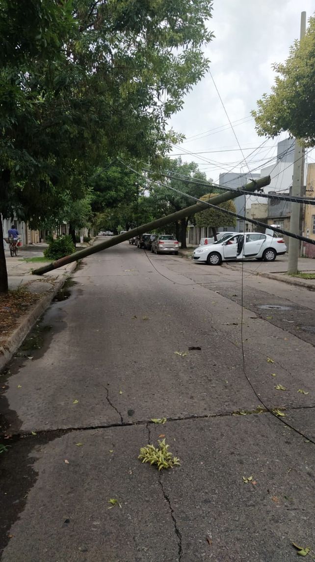 Temporal en Rosario: 50 milímetros de lluvia en una hora, calles anegadas y árboles caídos