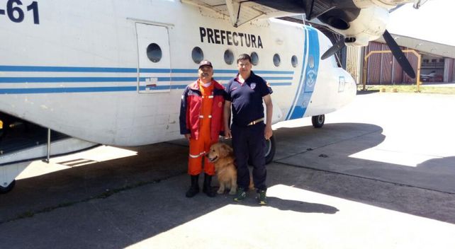 Perros adiestrados: Toby, Bruno y Halcón, algunos de los canes estrella de 2017