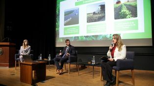El campo podría sumar u$s 17.000 millones en exportaciones adicionales en los próximos 10 años