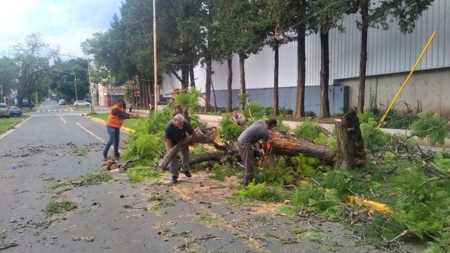 Temporal de lluvia y ráfagas de viento afectaron parte del casco urbano de Paraná y provocaron caída de árboles y mampostería