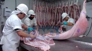 Los frigoríficos atraviesan una crisis “prácticamente terminal”
