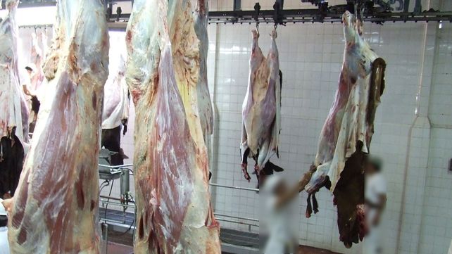 Diamante: aclaran que el brote de fiebre Q fue en 2021