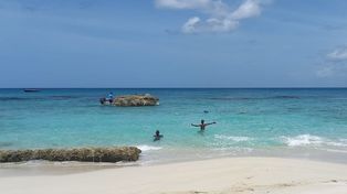 Punta Cana, más allá de la playa: cinco imperdibles para visitar en el corazón del Caribe