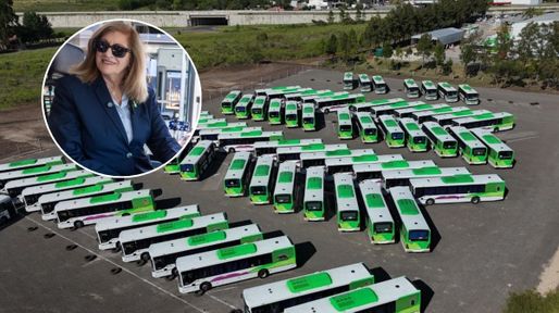 Rosario Romero: Como capital merecemos un transporte acorde a las necesidades de nuestra gente