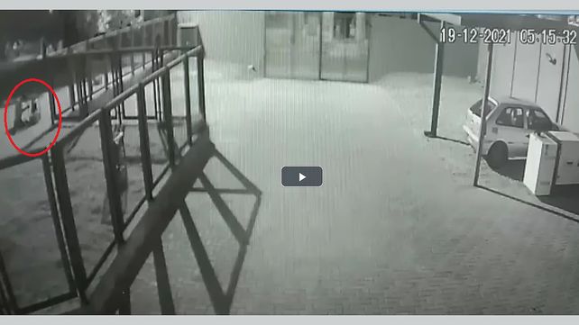 Cámaras de seguridad captan robo de reflectores del Centro de Salud Illia de Paraná. Denunciaron faltante de palmeras de los macetones de avenida Ramírez