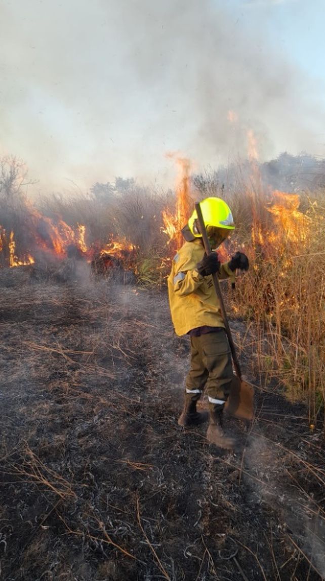 El trabajo de Bomberos Voluntarios de Paraná en los incendios