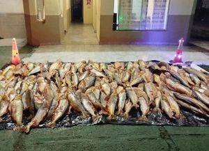 Hasta dónde llega la nueva prohibición de exportar pescado en Santa Fe: las claves de la medida
